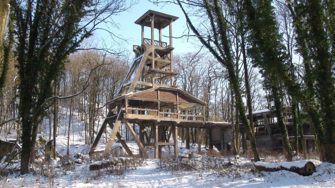 Quievrain Le Lodges מראה חיצוני תמונה